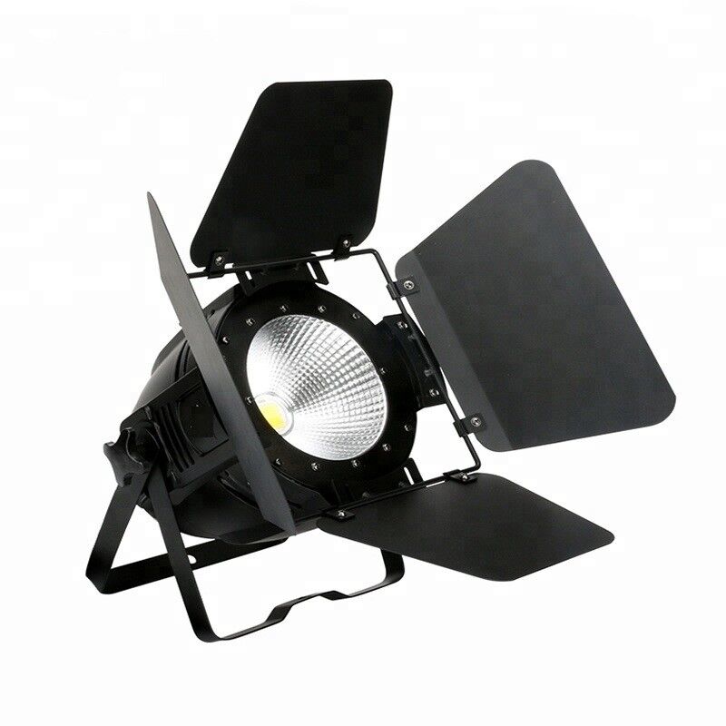 LED Par Can Stage Lights 200W