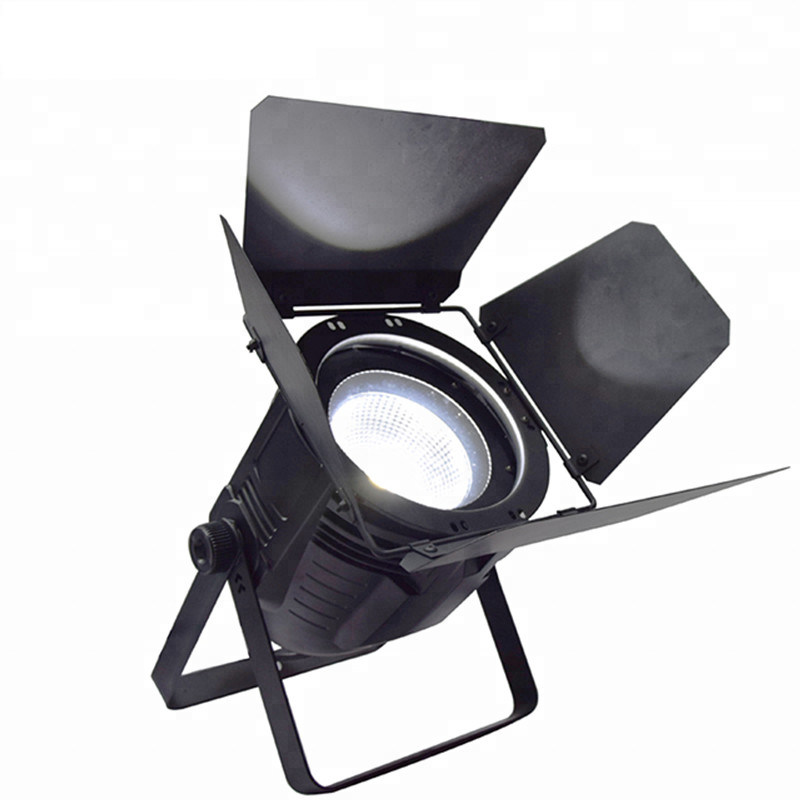 200 Watt Pro Stage Lighting , COB LED Par Light Warm White And Cool