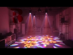 Mini Model With Prism RGBW For Show 6 bee eyes light